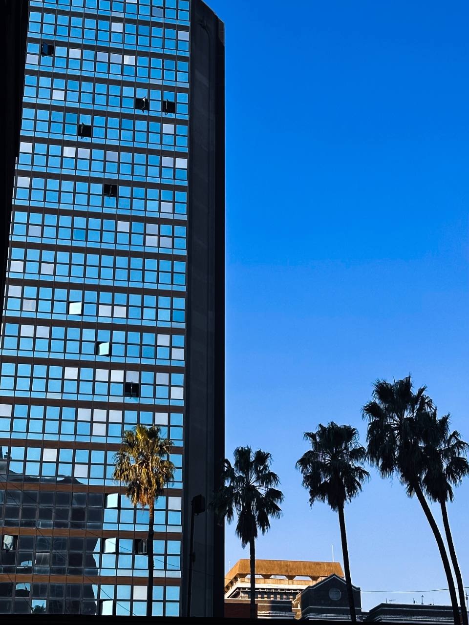 Modern glass office building and palm trees in Harare